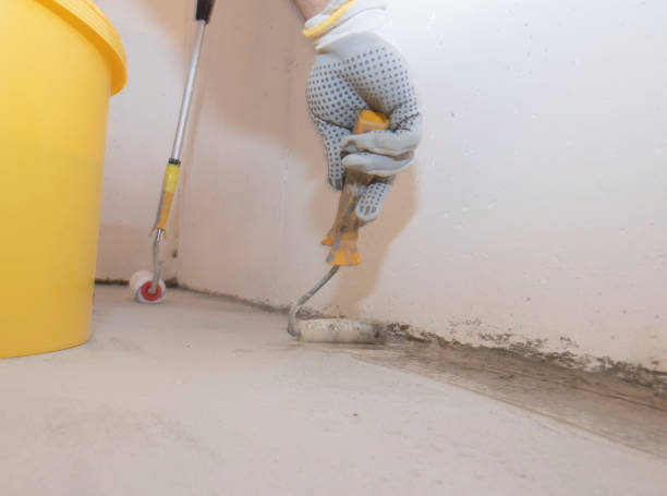 Best Pest Prevention Services  in Hilton Head Island, SC